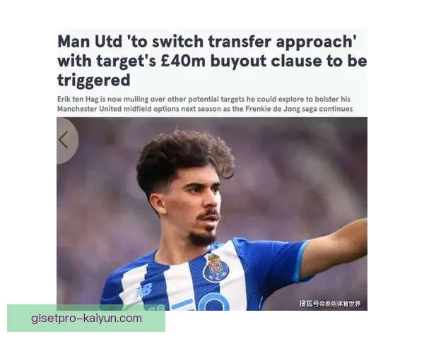 维蒂尼亚持续提升潜力，显示出未来发展的竞争力增强趋势